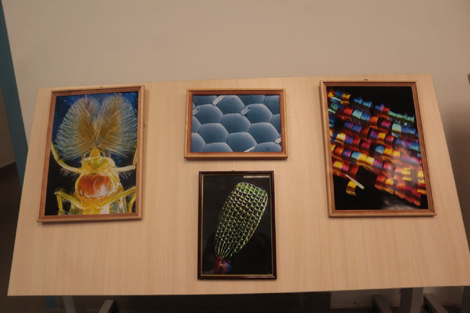 Пущино, образование