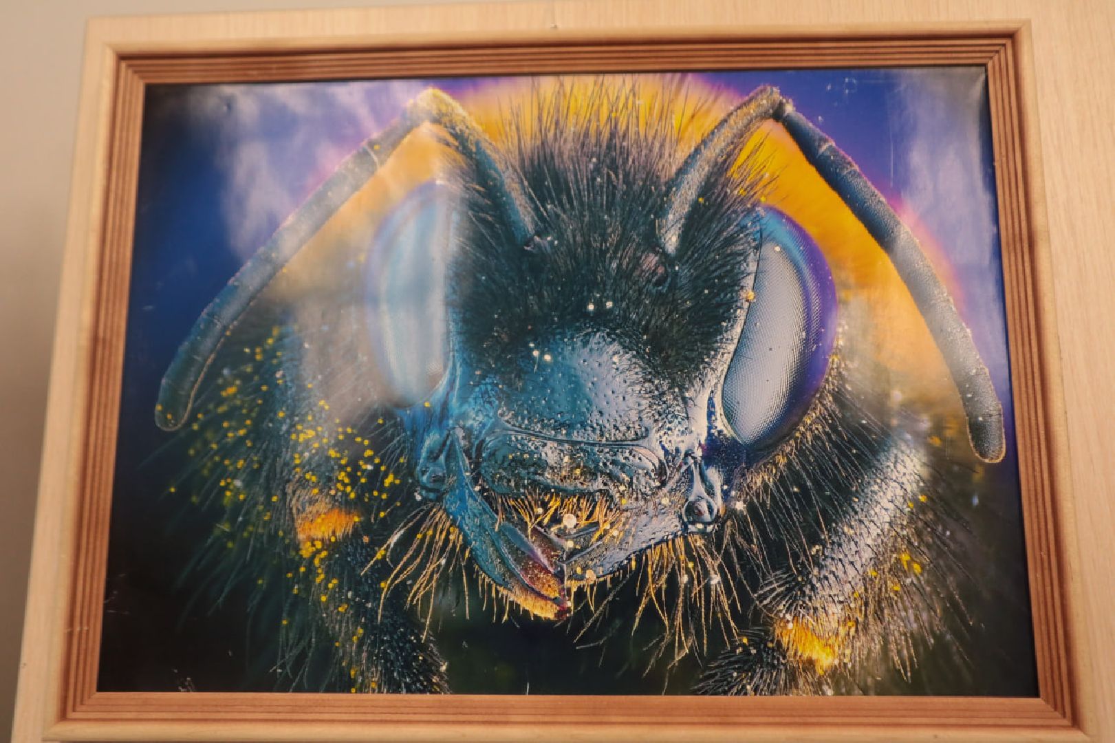 Пущино, образование