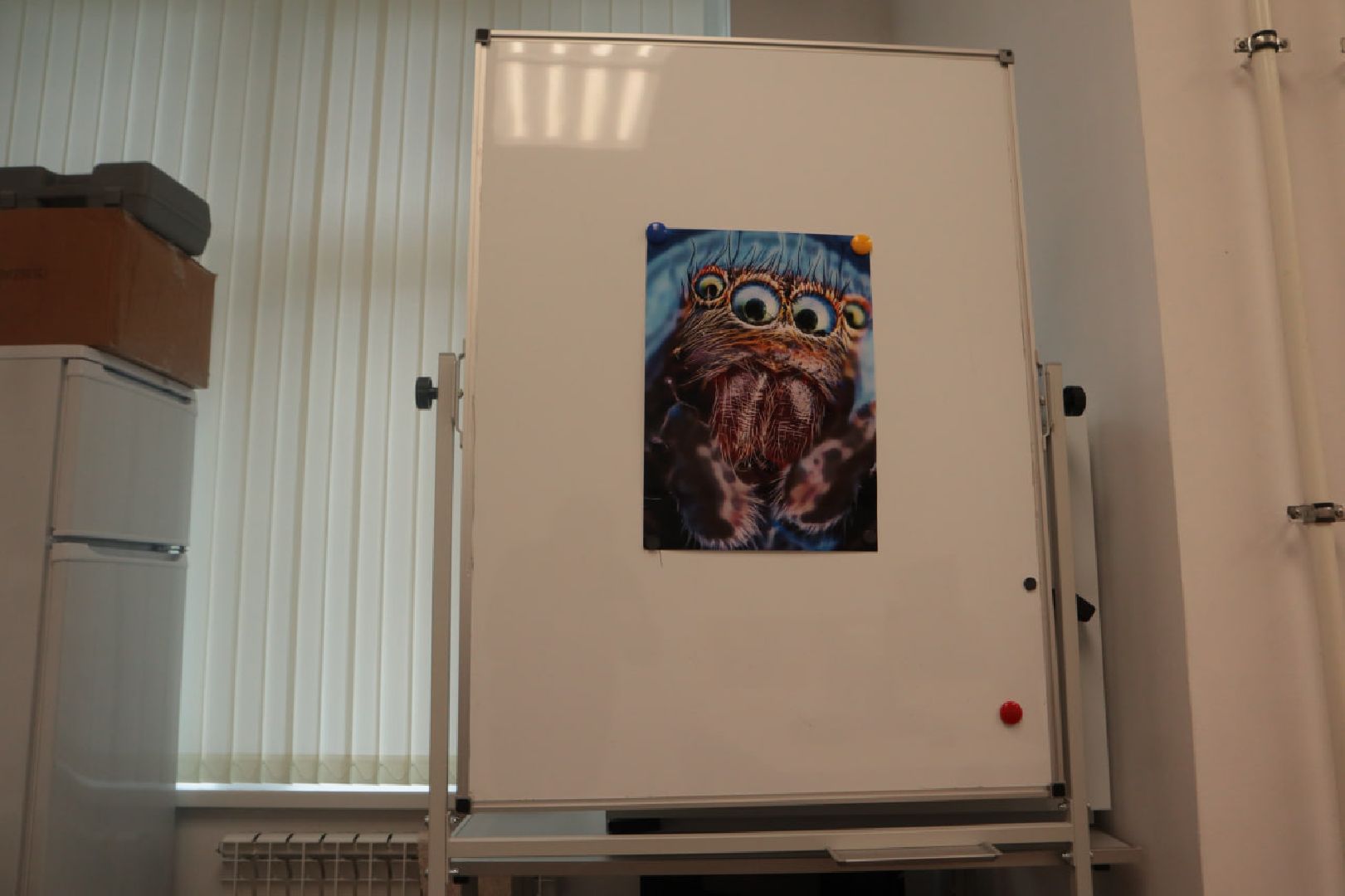 Пущино, образование