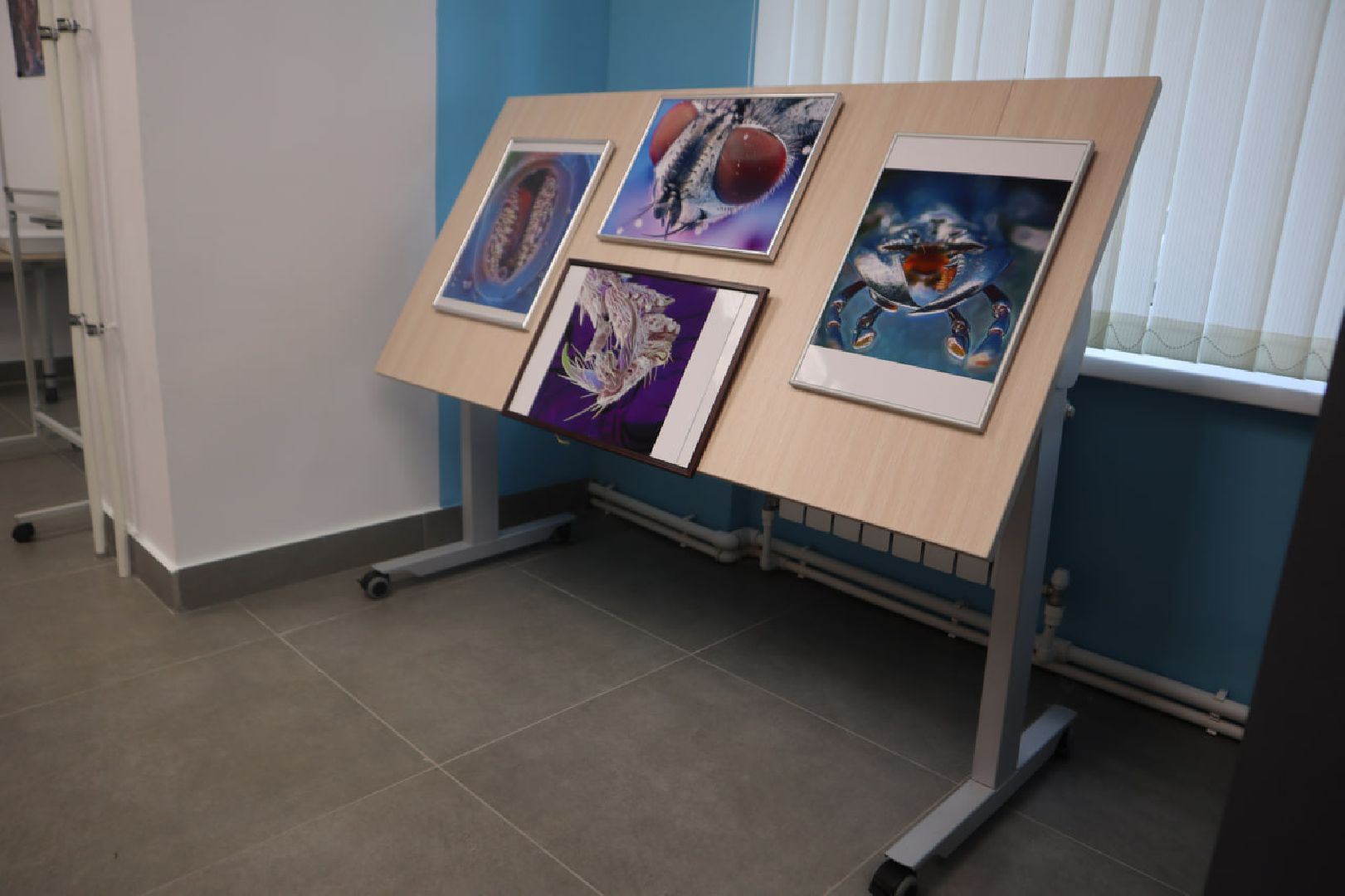 Пущино, образование