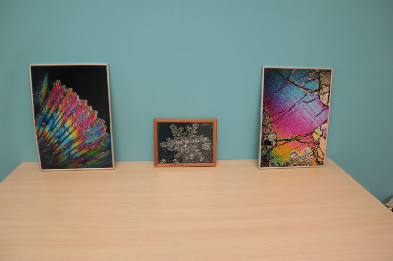 Пущино, образование