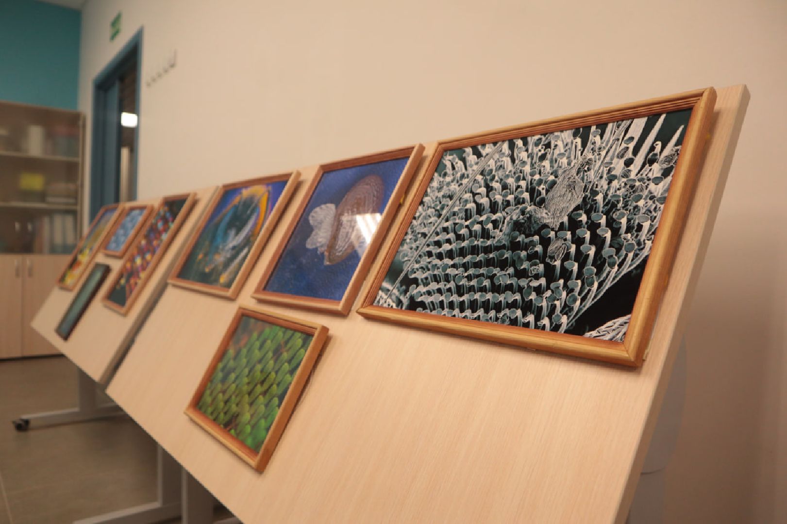 Пущино, образование