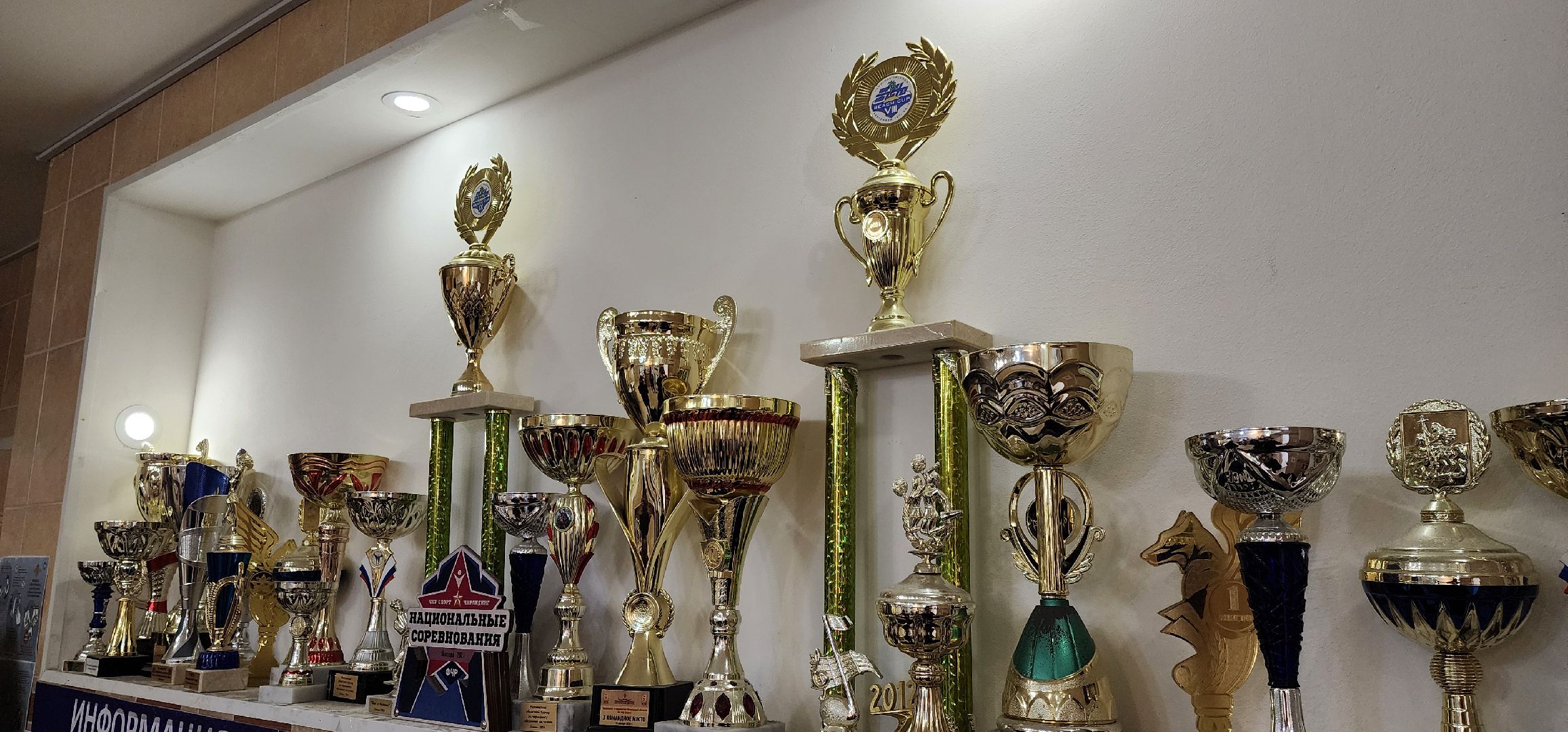 Химки, Спорт, чирлидинг,