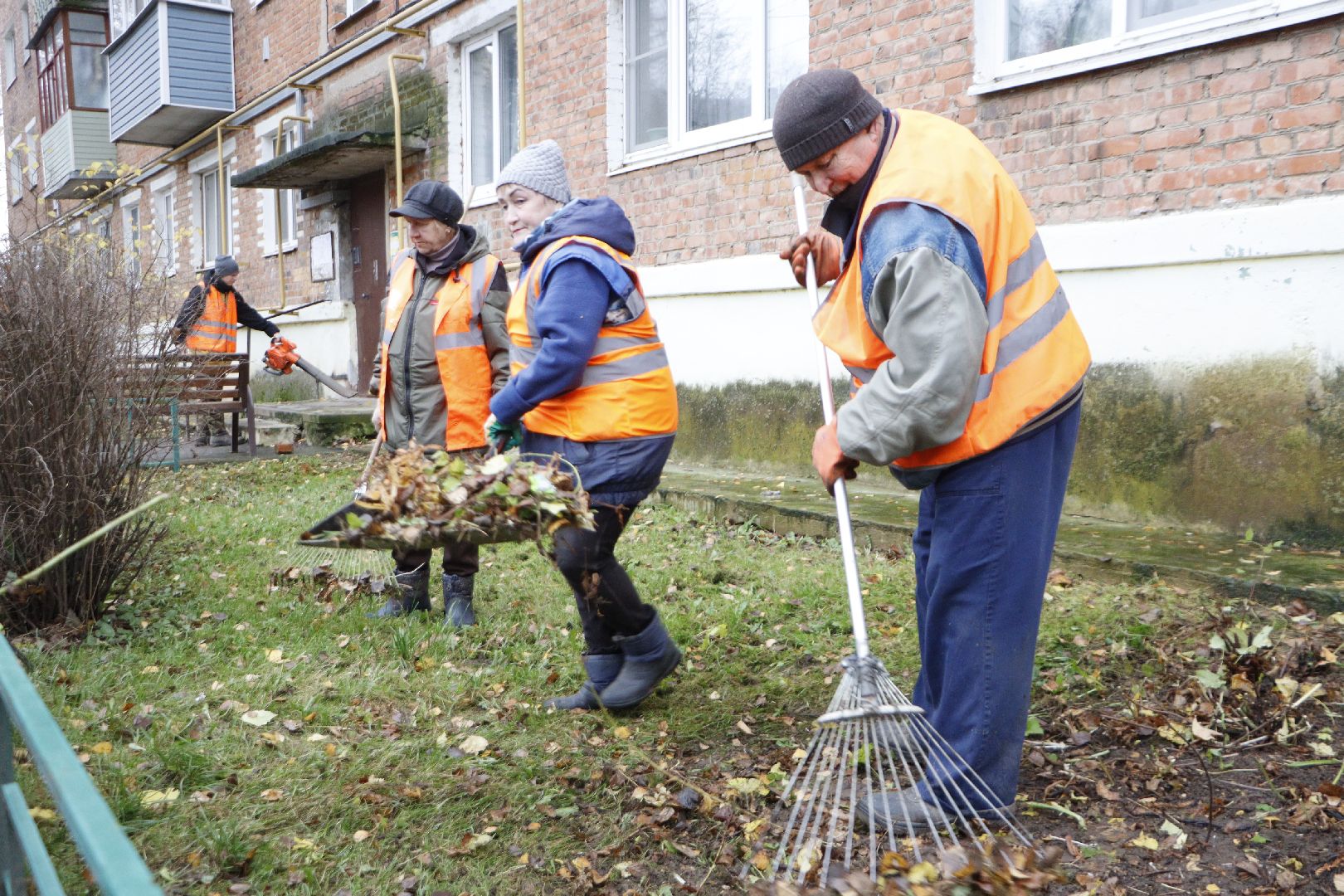 зарайск, жкх,  яндекс вектор,