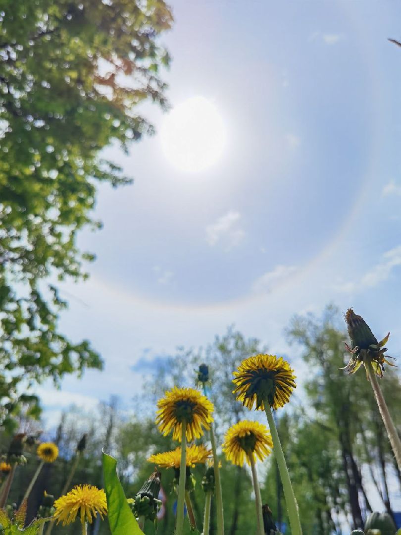 Сергиев Посад, Сергиево-Посадский городской округ, Погода, Гало, Город, Жители, Атмосферное явление