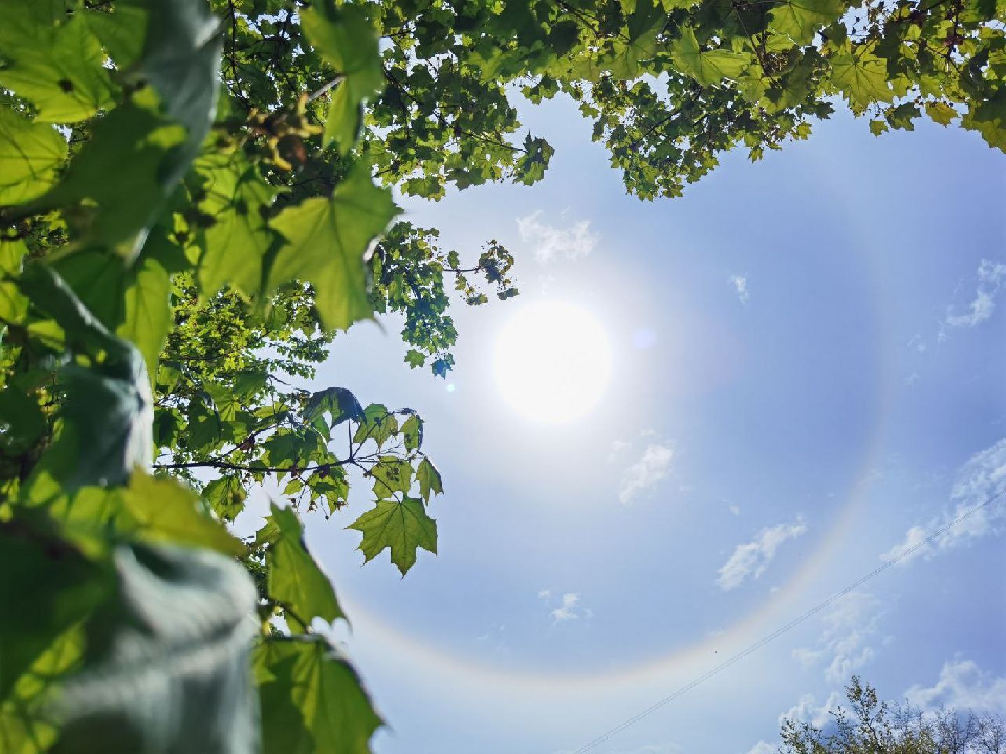 Сергиев Посад, Сергиево-Посадский городской округ, Погода, Гало, Город, Жители, Атмосферное явление