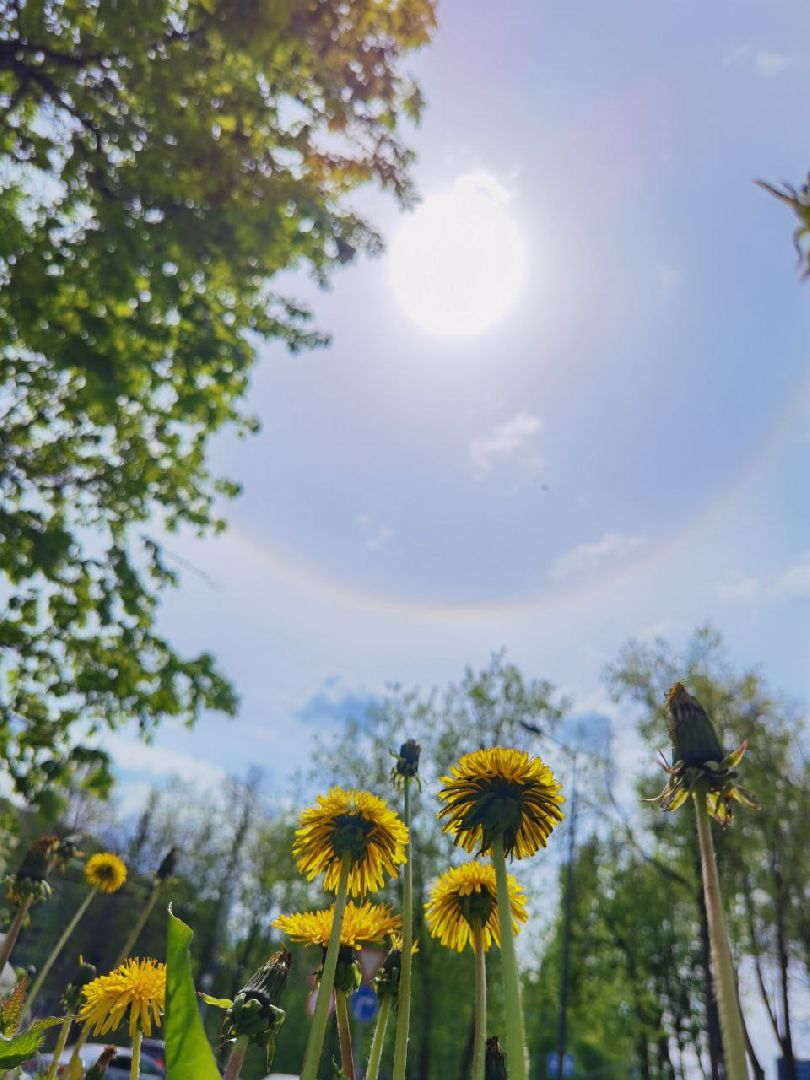 Сергиев Посад, Сергиево-Посадский городской округ, Погода, Гало, Город, Жители, Атмосферное явление