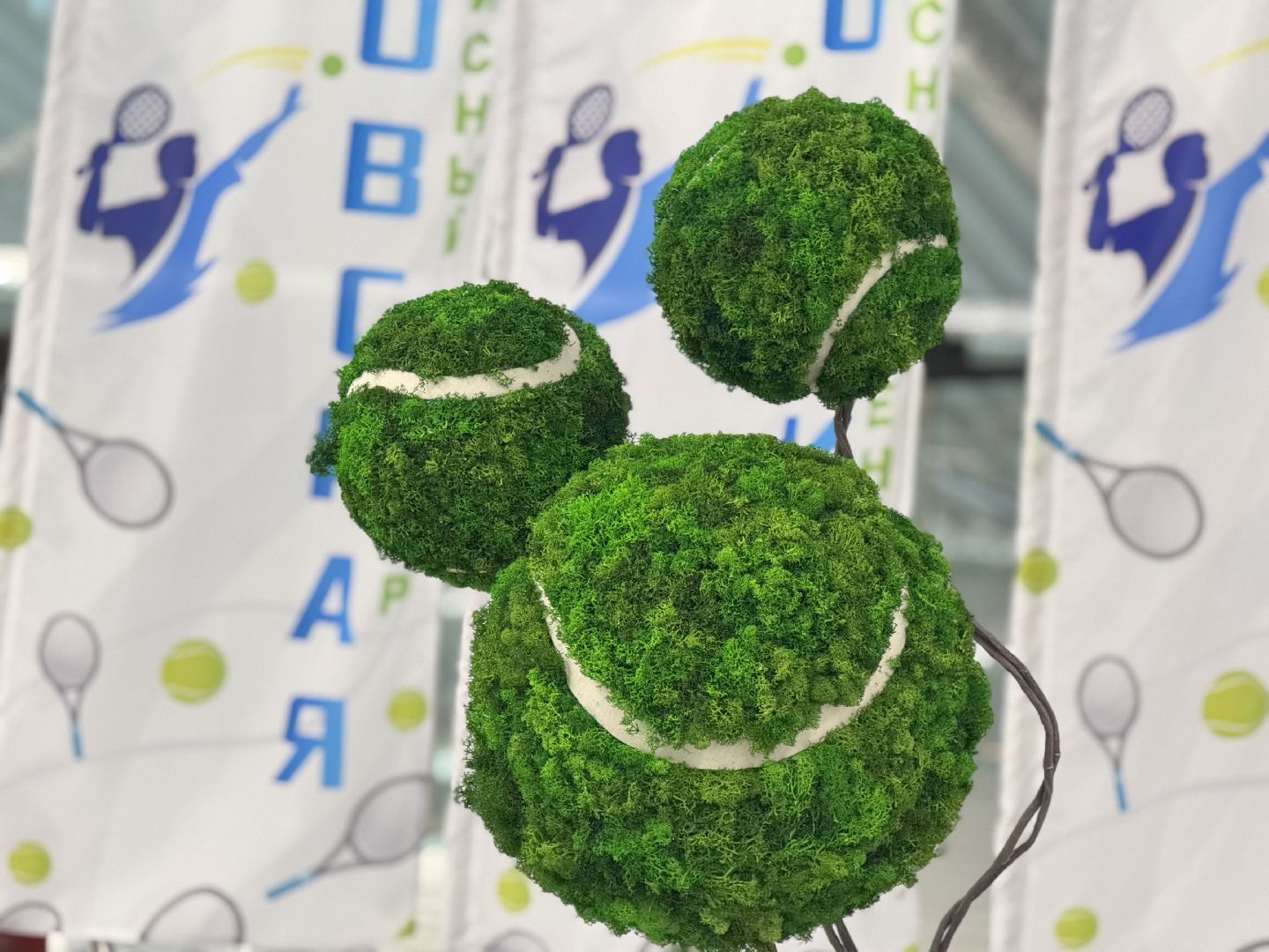 шаховская, теннис, теннисный турнир,