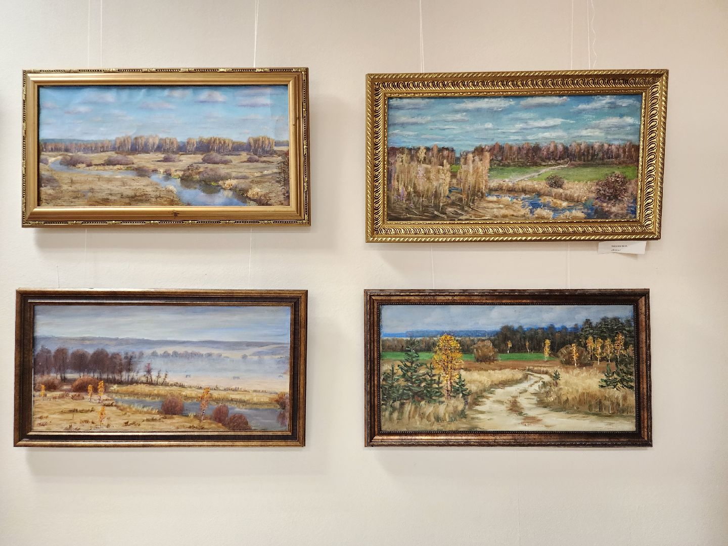 выставка, художник, центр культуры, ногинск, богородский городский округ,