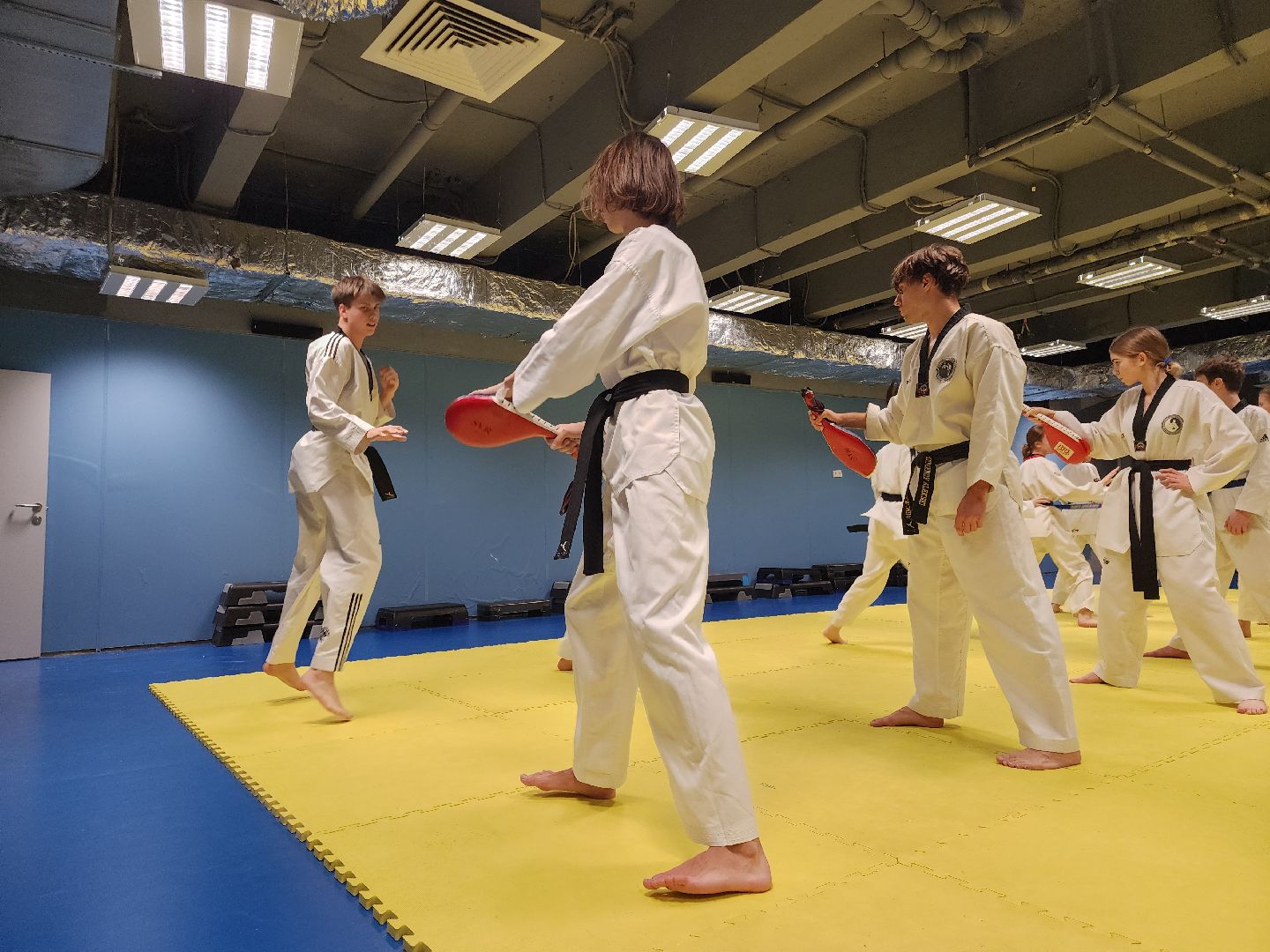 Черноголовка, Тхэквондо, Спорт,