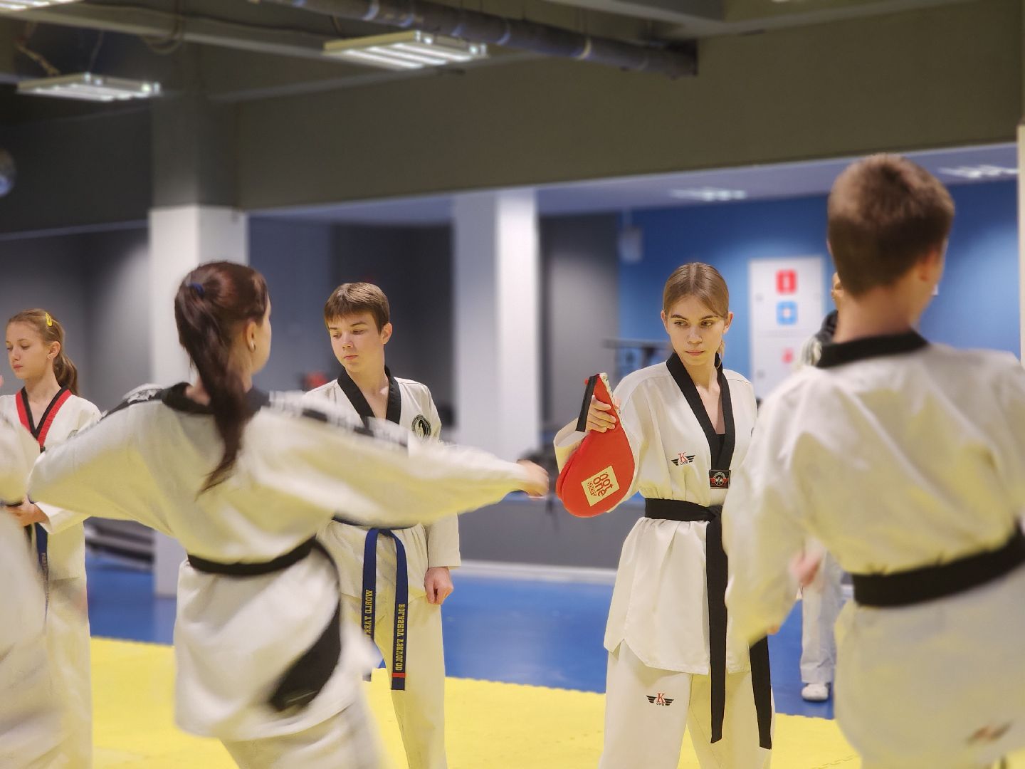 Черноголовка, Тхэквондо, Спорт,