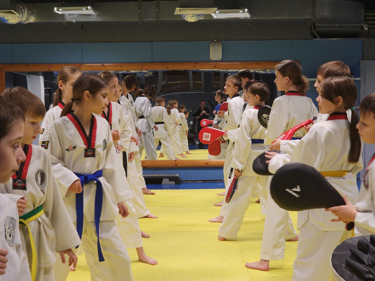 Черноголовка, Тхэквондо, Спорт,