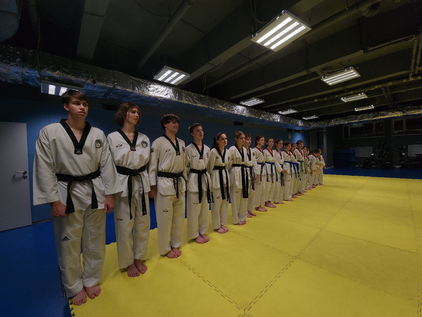 Черноголовка, Тхэквондо, Спорт,