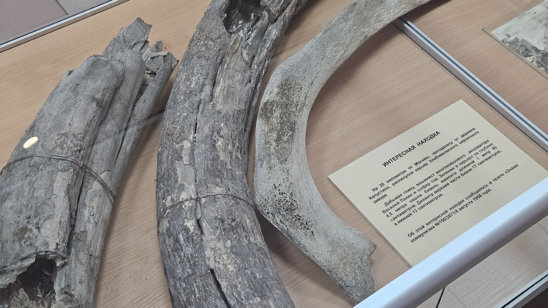 долгопрудный, ночь в музее,долгопрудненский историко-художественный музей,