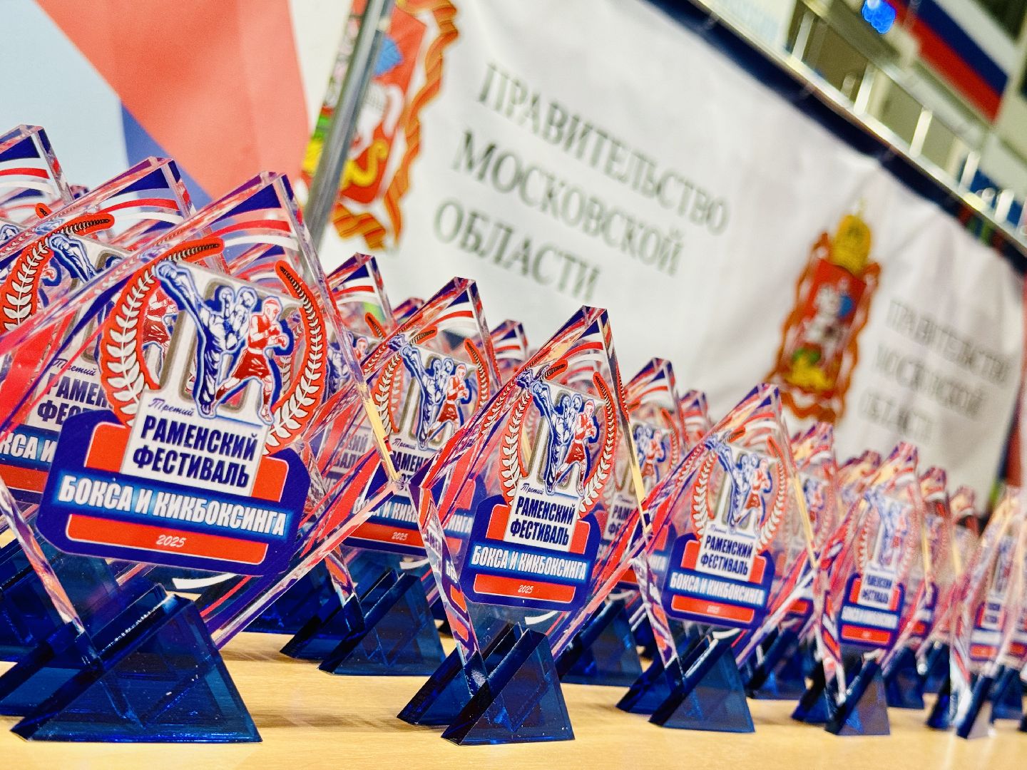 раменское, кикбоксинг, фестиваль бокса и кикбоксинга, дворец спорта борисоглебский,