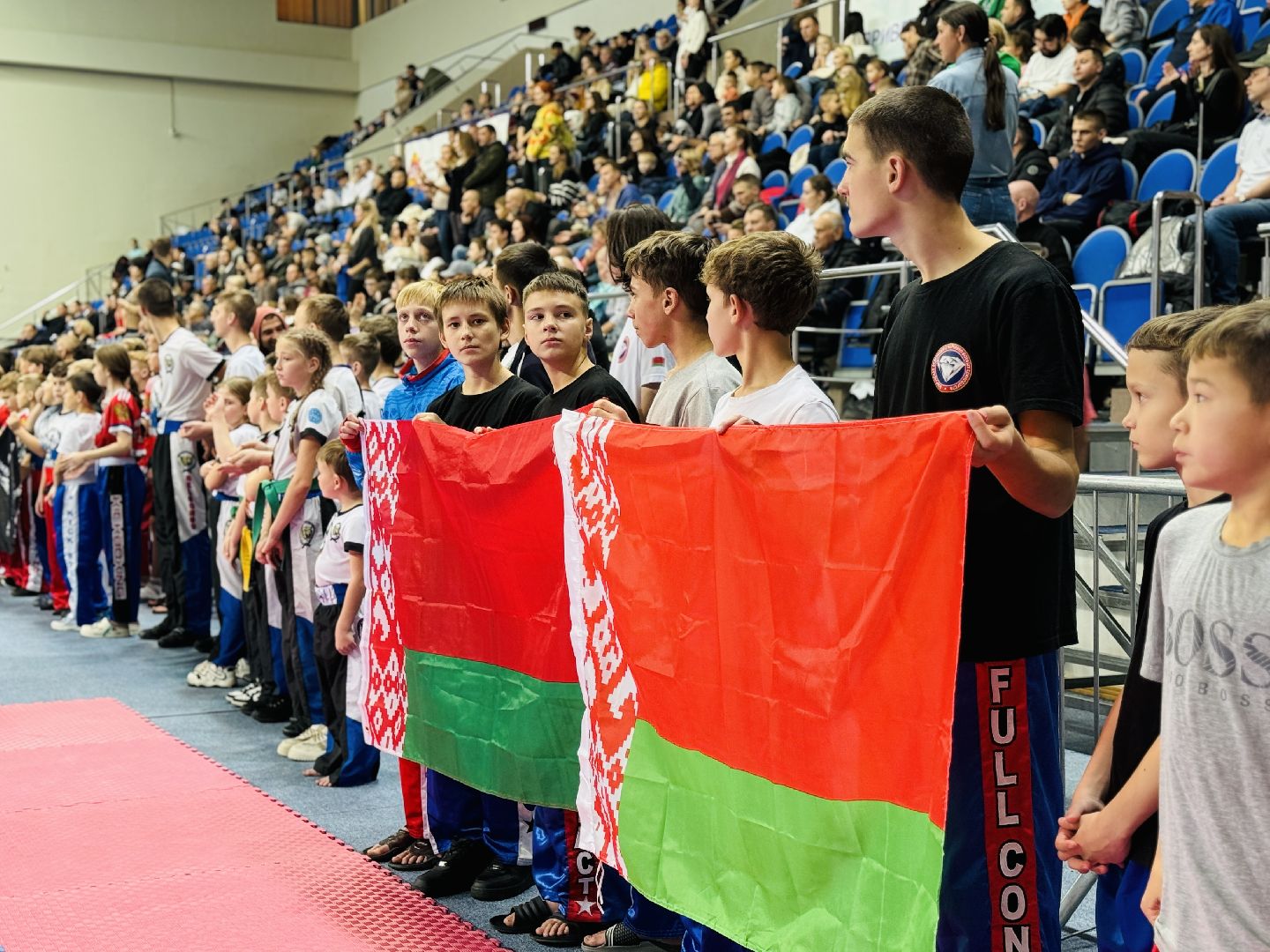 раменское, кикбоксинг, фестиваль бокса и кикбоксинга, дворец спорта борисоглебский,