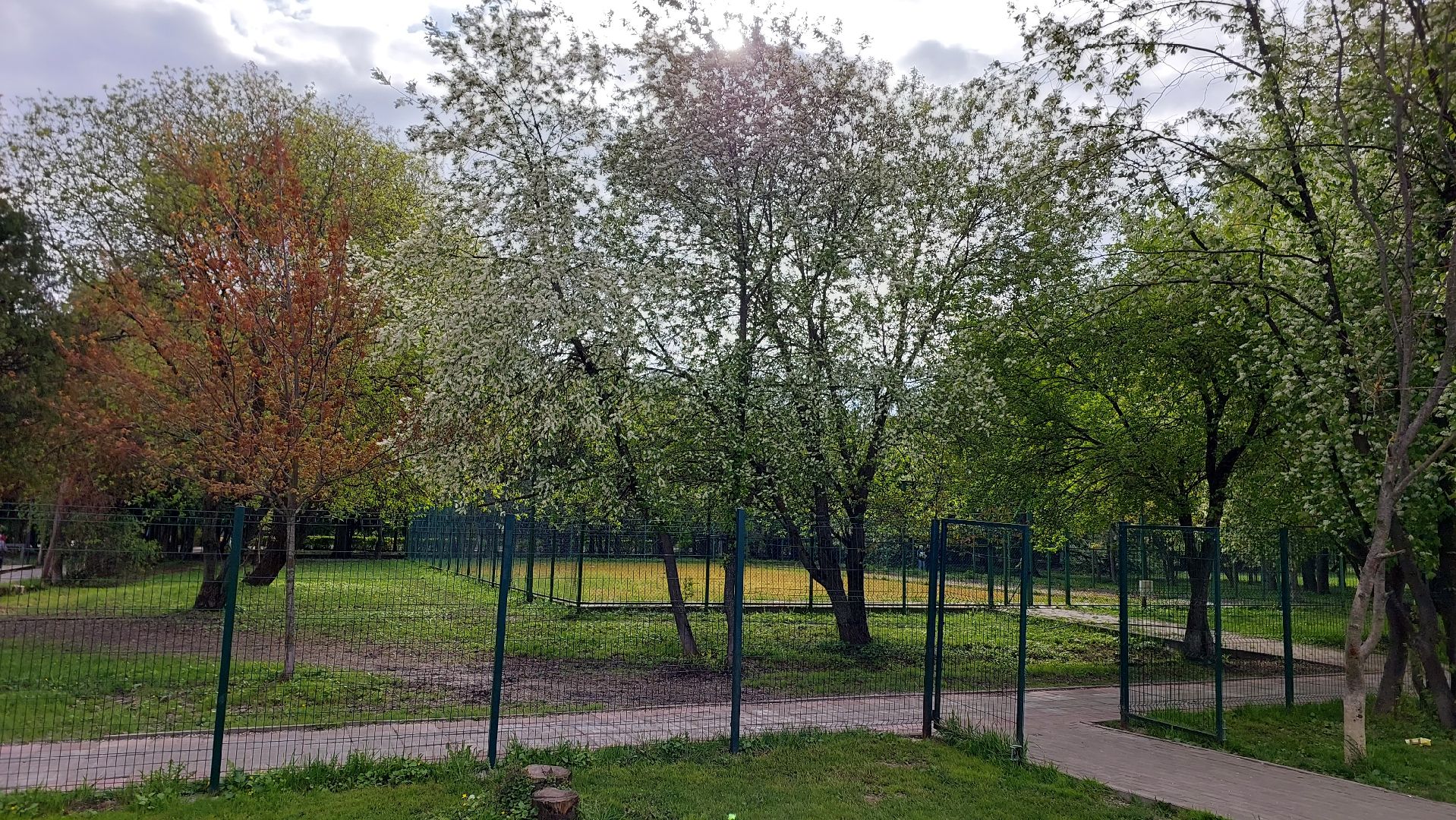 фирсов, улица фирсова, серпухов, вов, день победы,