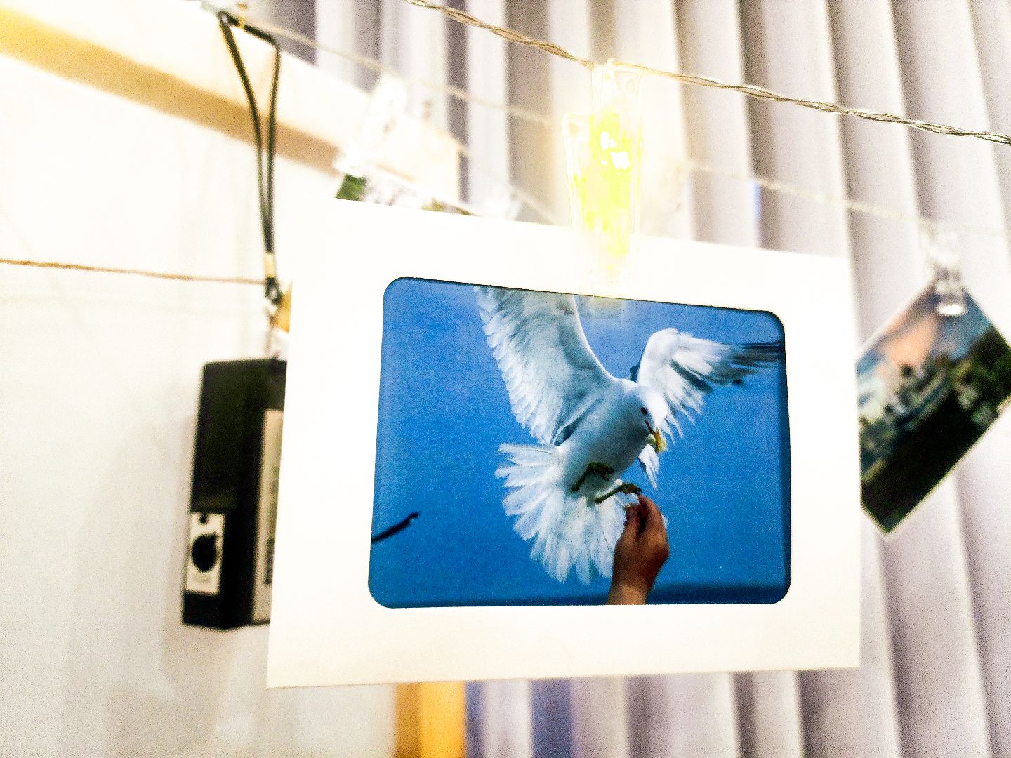 пущино, серпухов, наука, фестиваль,