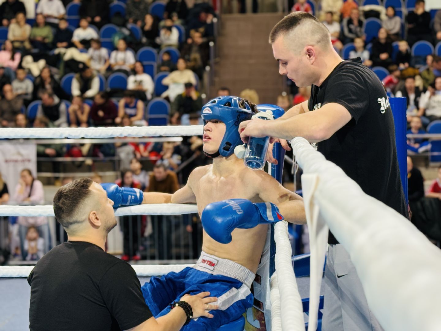 раменское, кикбоксинг, раменский фестиваль бокса и кикбоксинга, международный турнир,