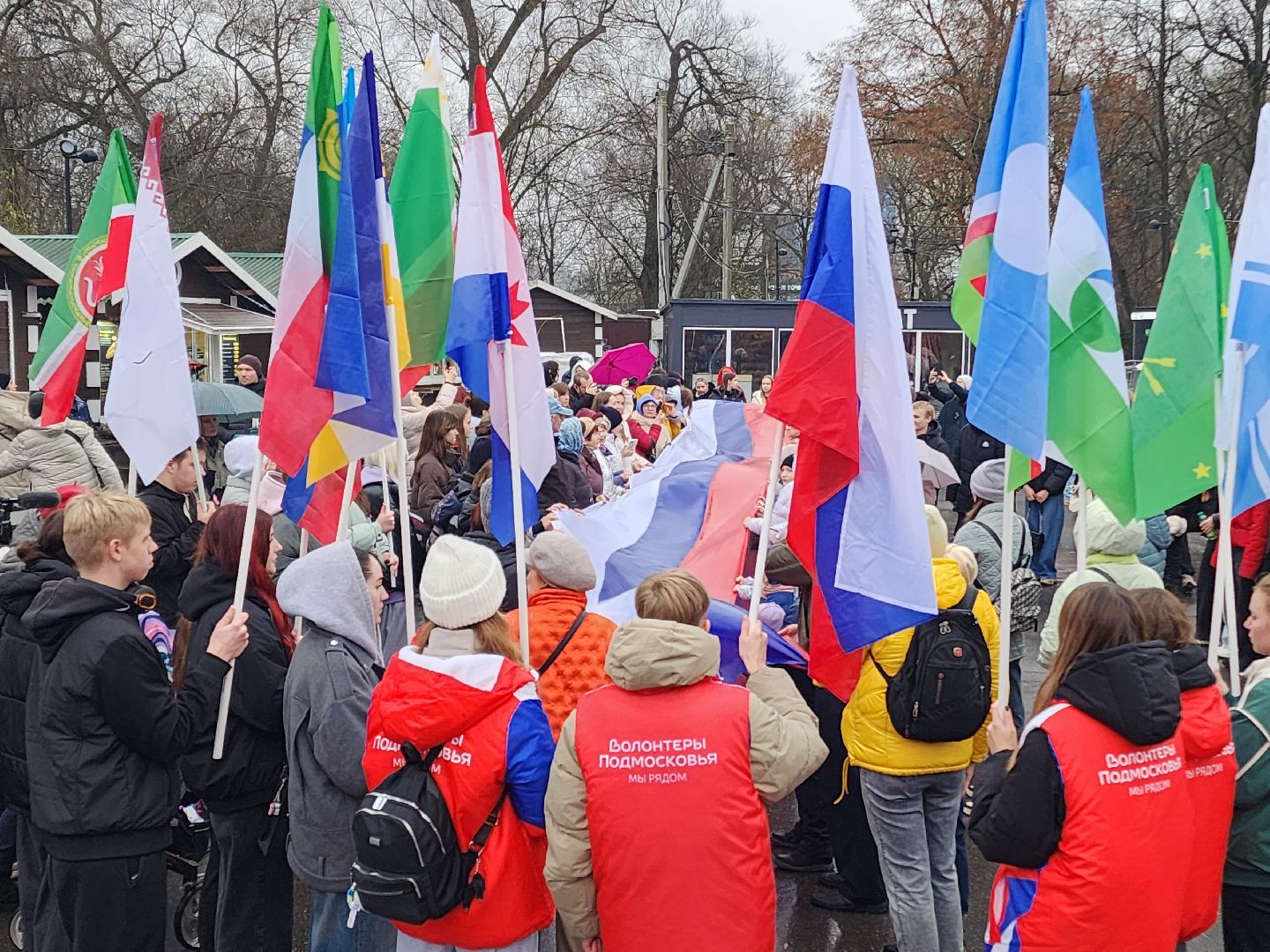 чехов, улица пушкина, городской парк, день народного  единства, праздник, программа россия родина единство, концерт, музыкальная программа,  народные гуляния и забавы, игровая программа, анимация, мастер-классы, конкурсы и викторины,ансамбль авангард, ансамбль подмосковный сувенир, песни и танцы, патриотические акции, флаги народов россии,