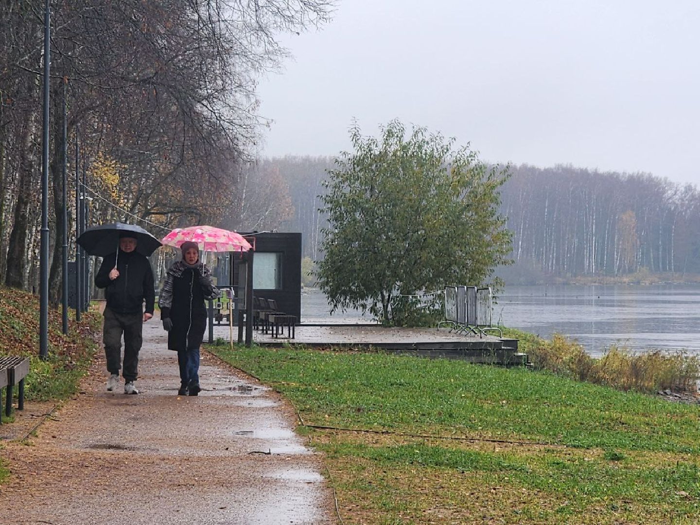 солнечногорск, общество, праздник, единство,