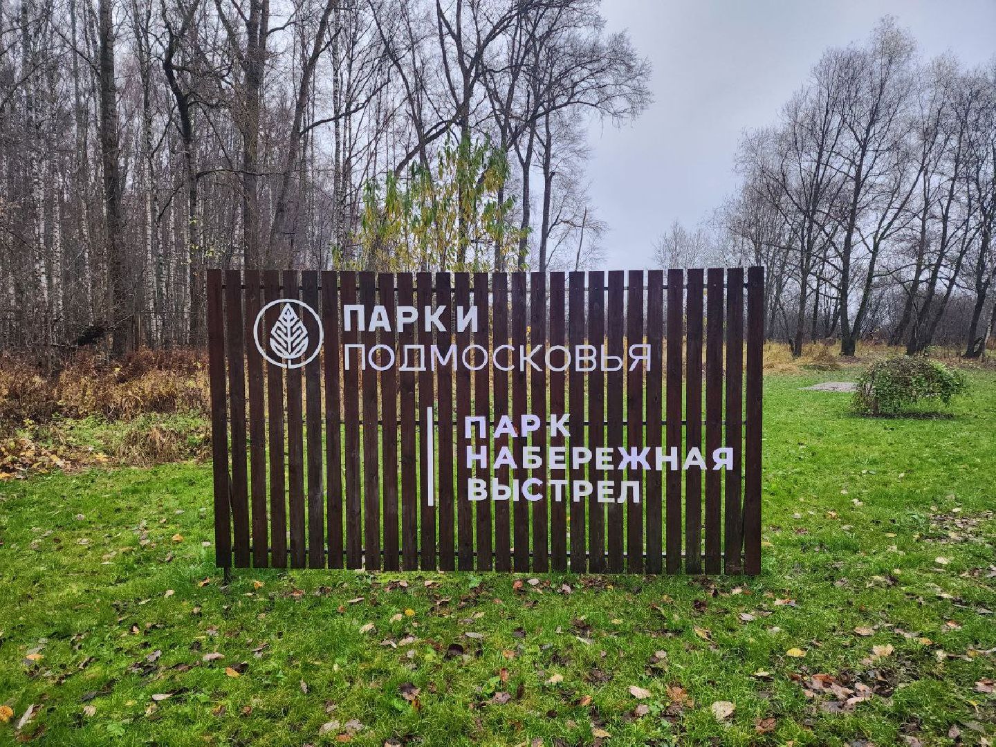 солнечногорск, общество, праздник, единство,