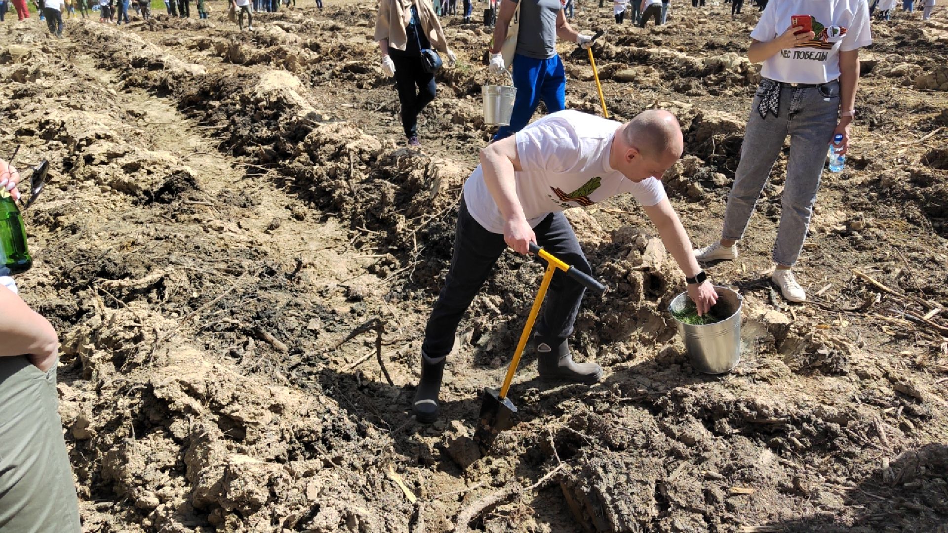 Пушкино, Ельдигино, Лес Победы,