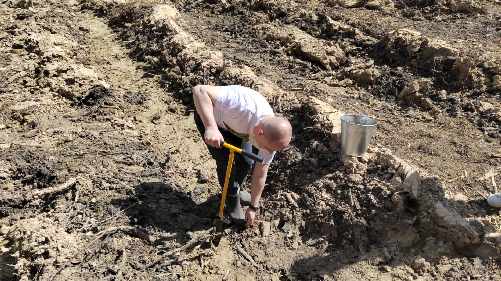 Пушкино, Ельдигино, Лес Победы,