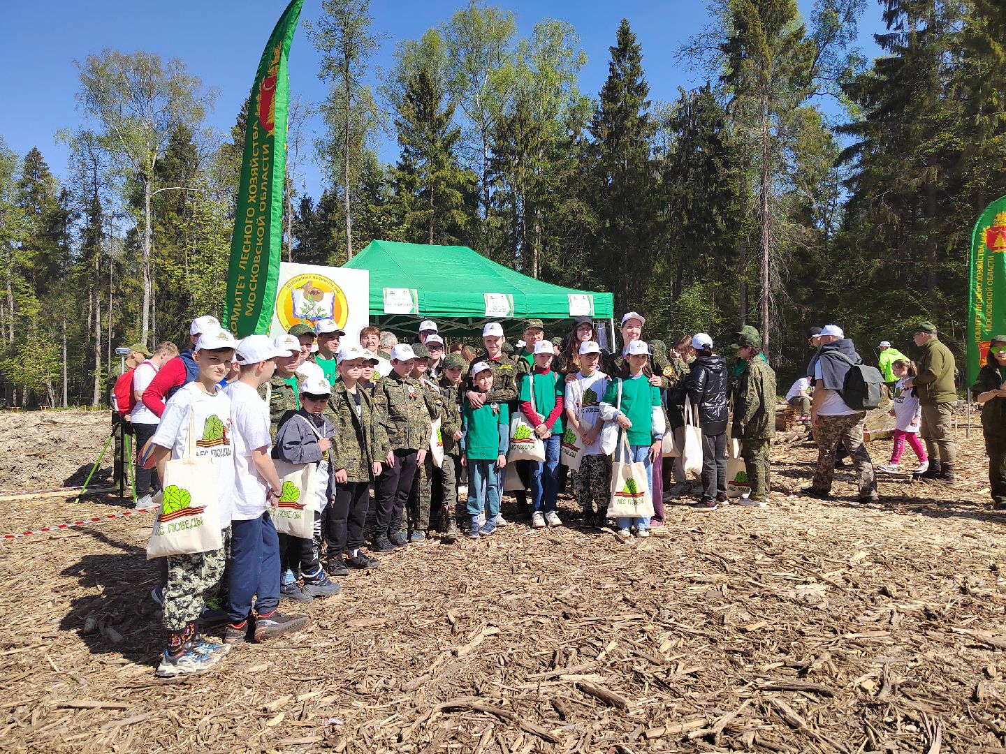 Пушкино, Ельдигино, Лес Победы,