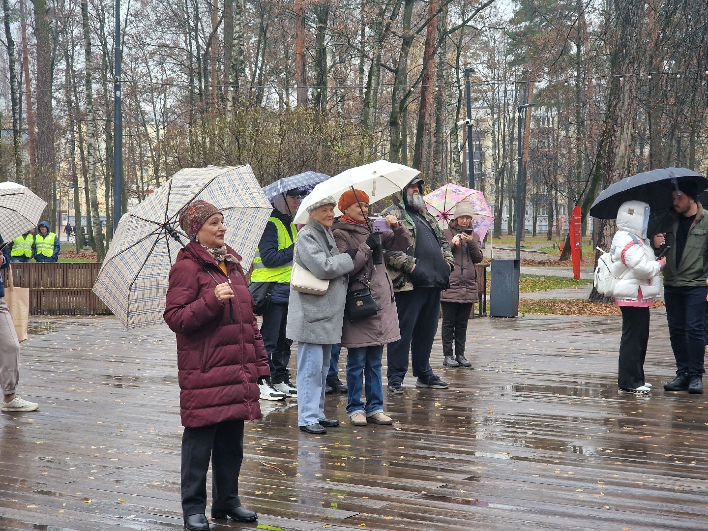 в парке пехорка отпраздновали день народного единства 2025, балашиха,