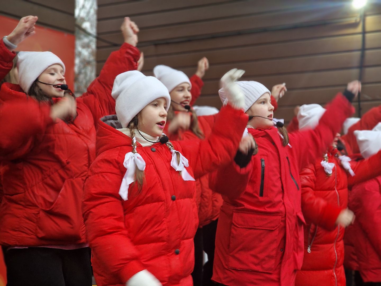 в парке пехорка отпраздновали день народного единства 2025, балашиха,