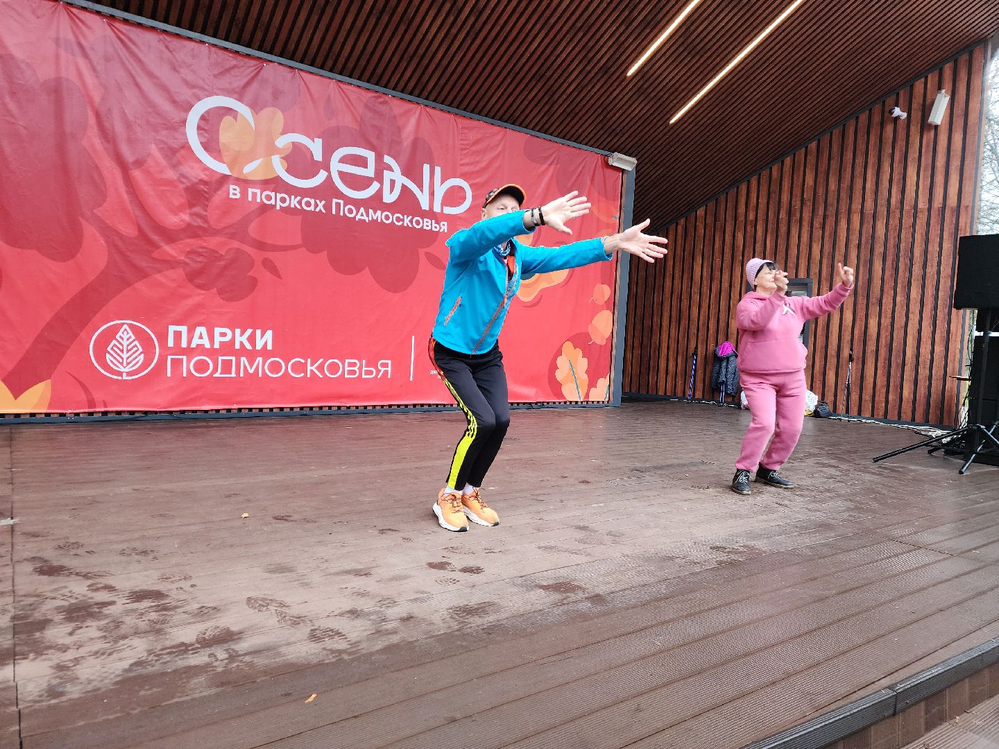 Подольск , День народного единства , праздник, парк талалихина,