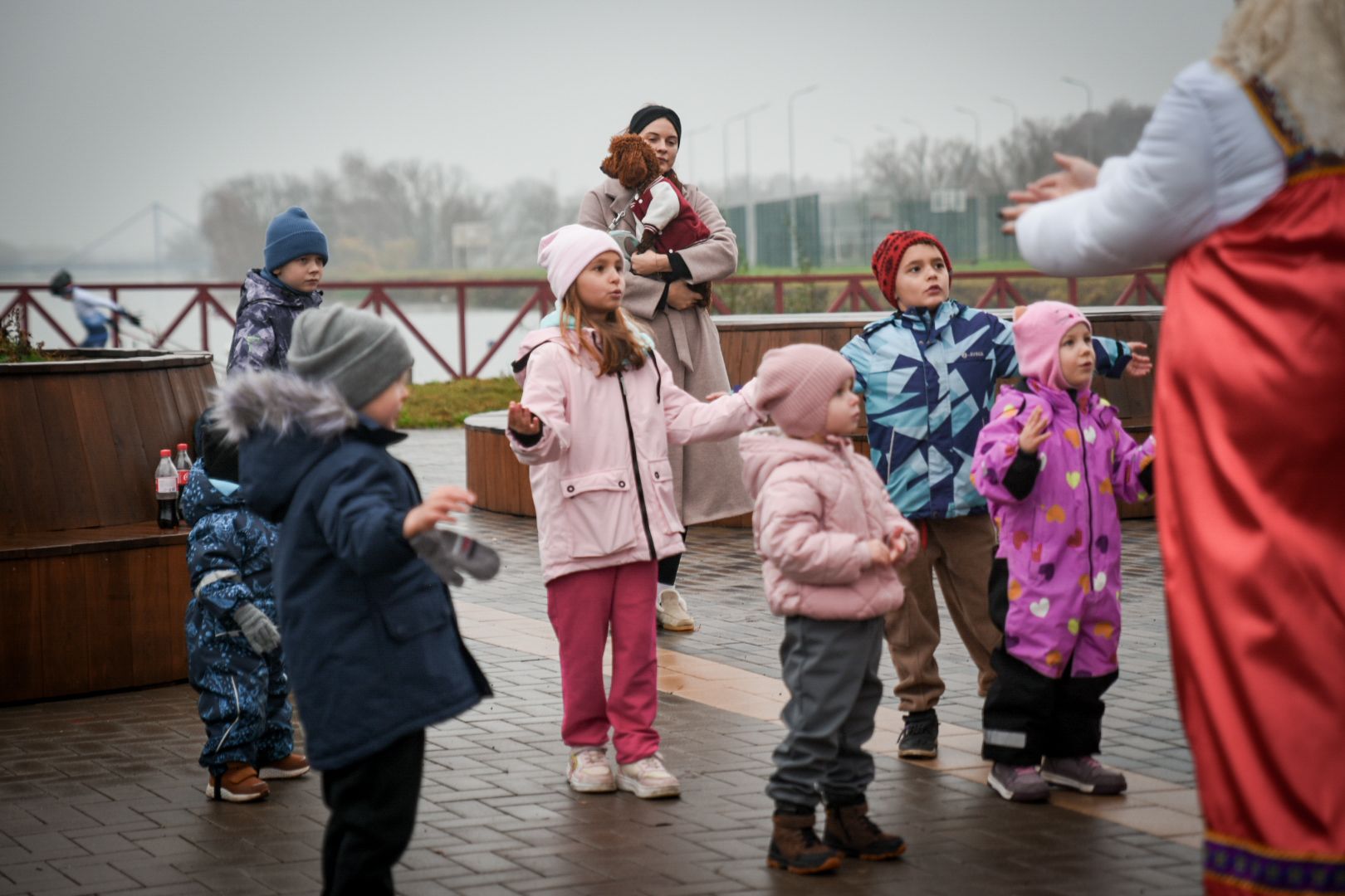 бронницы, день народного единства в бронницах, парк бронницкий луг, дети,