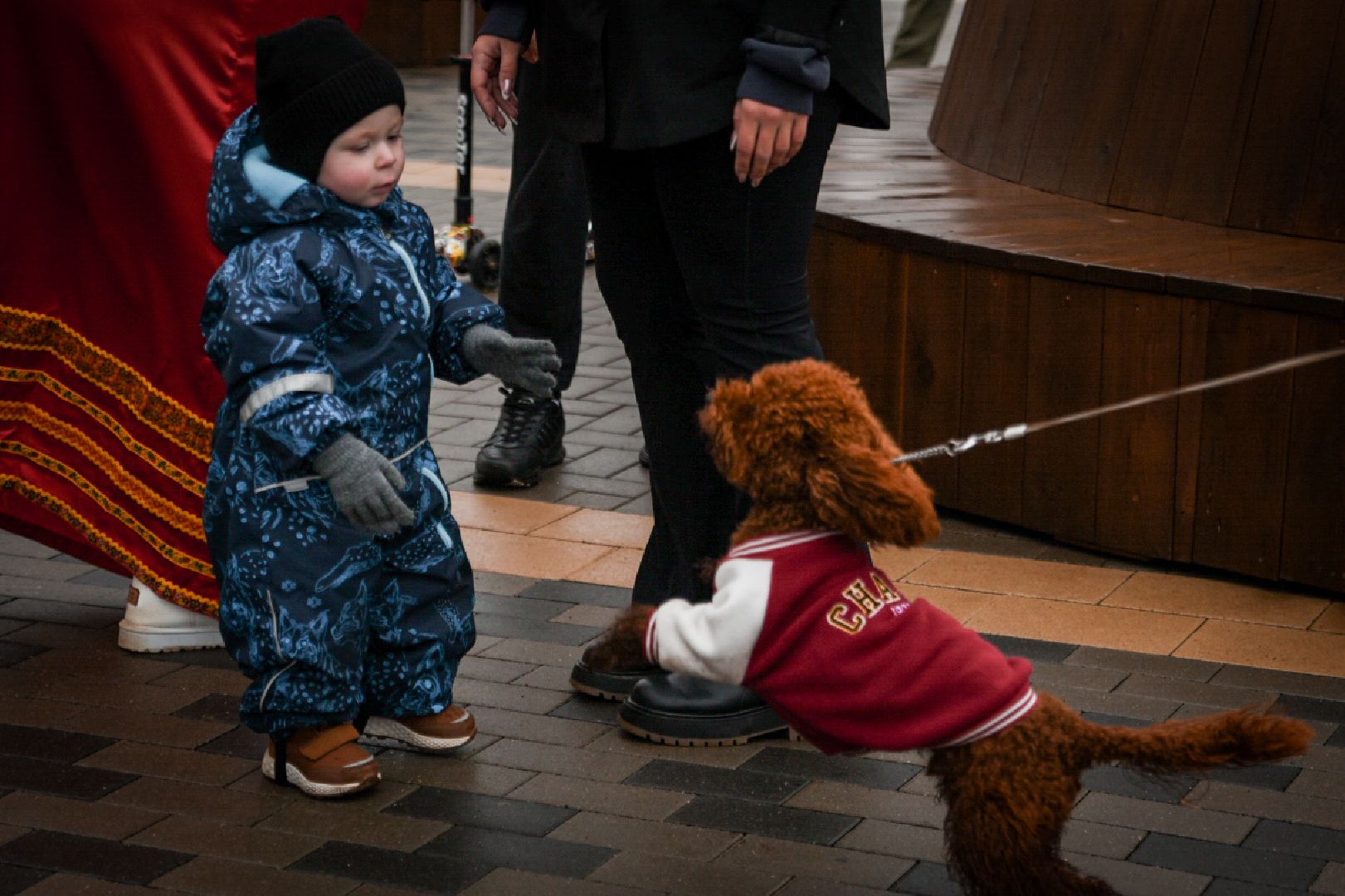 бронницы, день народного единства в бронницах, парк бронницкий луг, дети,