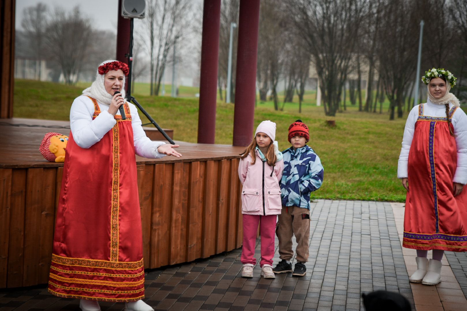 бронницы, день народного единства в бронницах, парк бронницкий луг, дети,