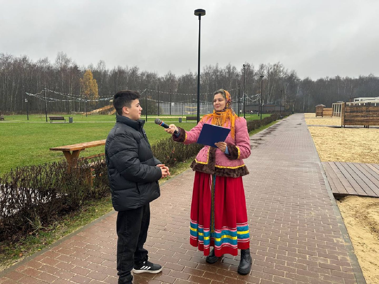 день народно единства, домодедово, парки, герой,