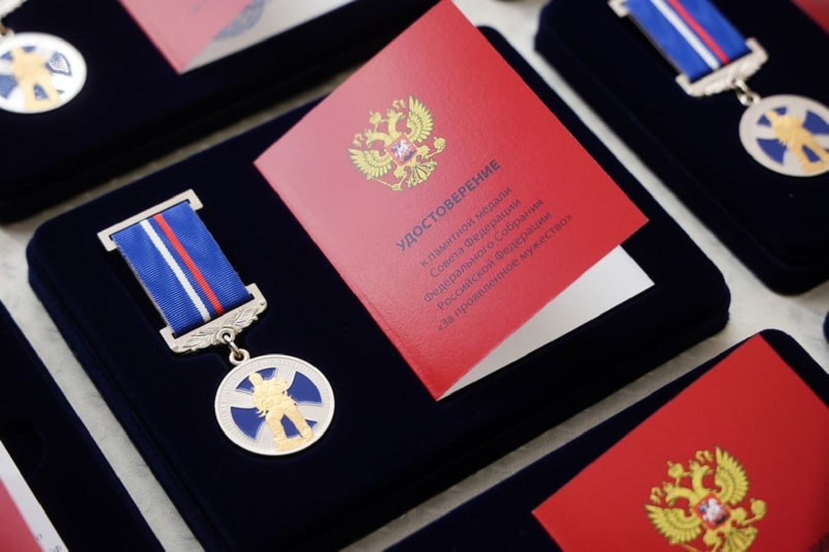 день народно единства, домодедово, парки, герой,