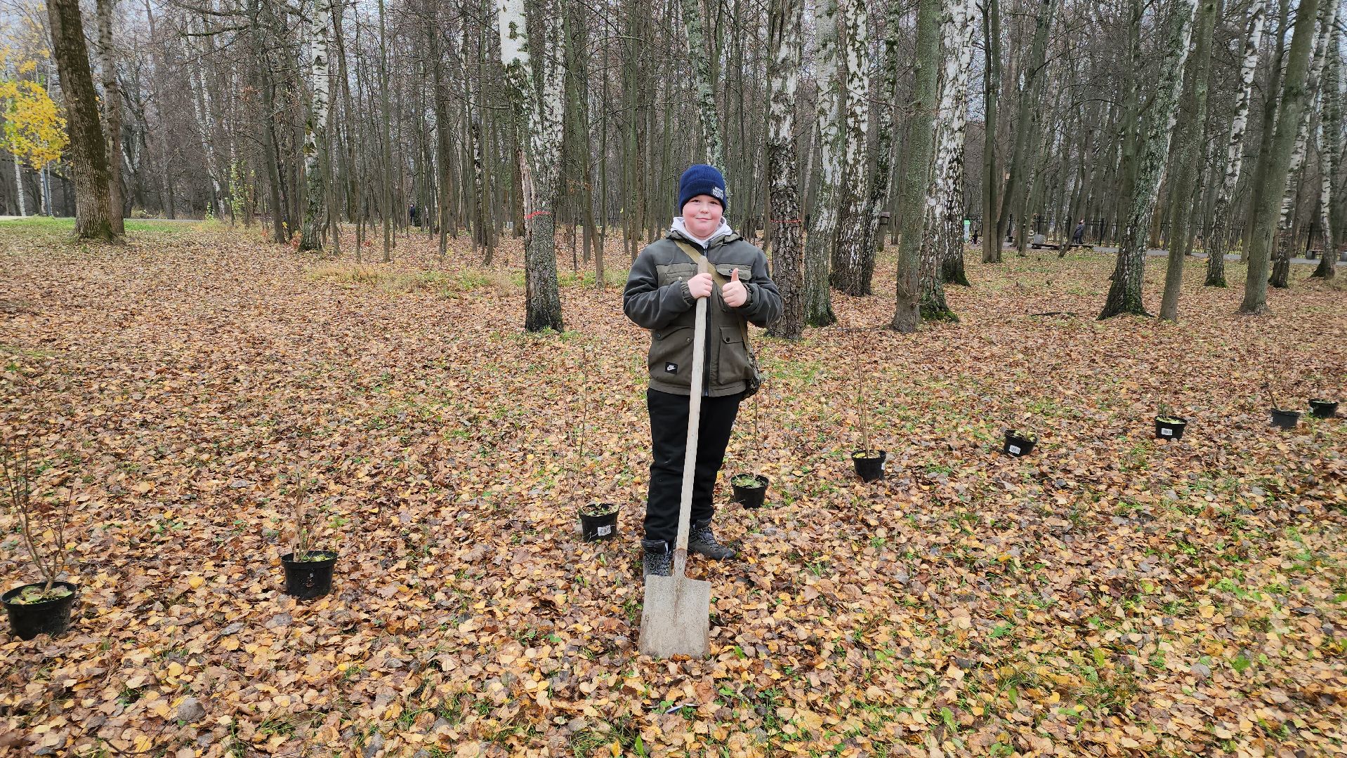 кашира, городской парк, высадка кустов, сирень, акция, волонтеры, молодая гвардия,