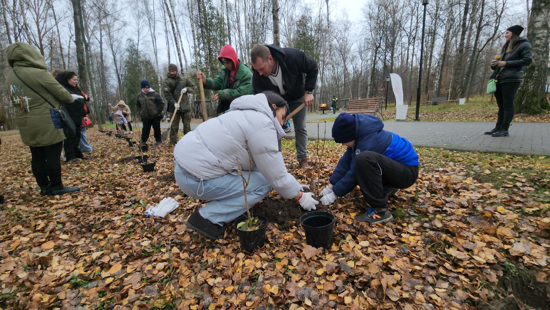 кашира, городской парк, высадка кустов, сирень, акция, волонтеры, молодая гвардия,