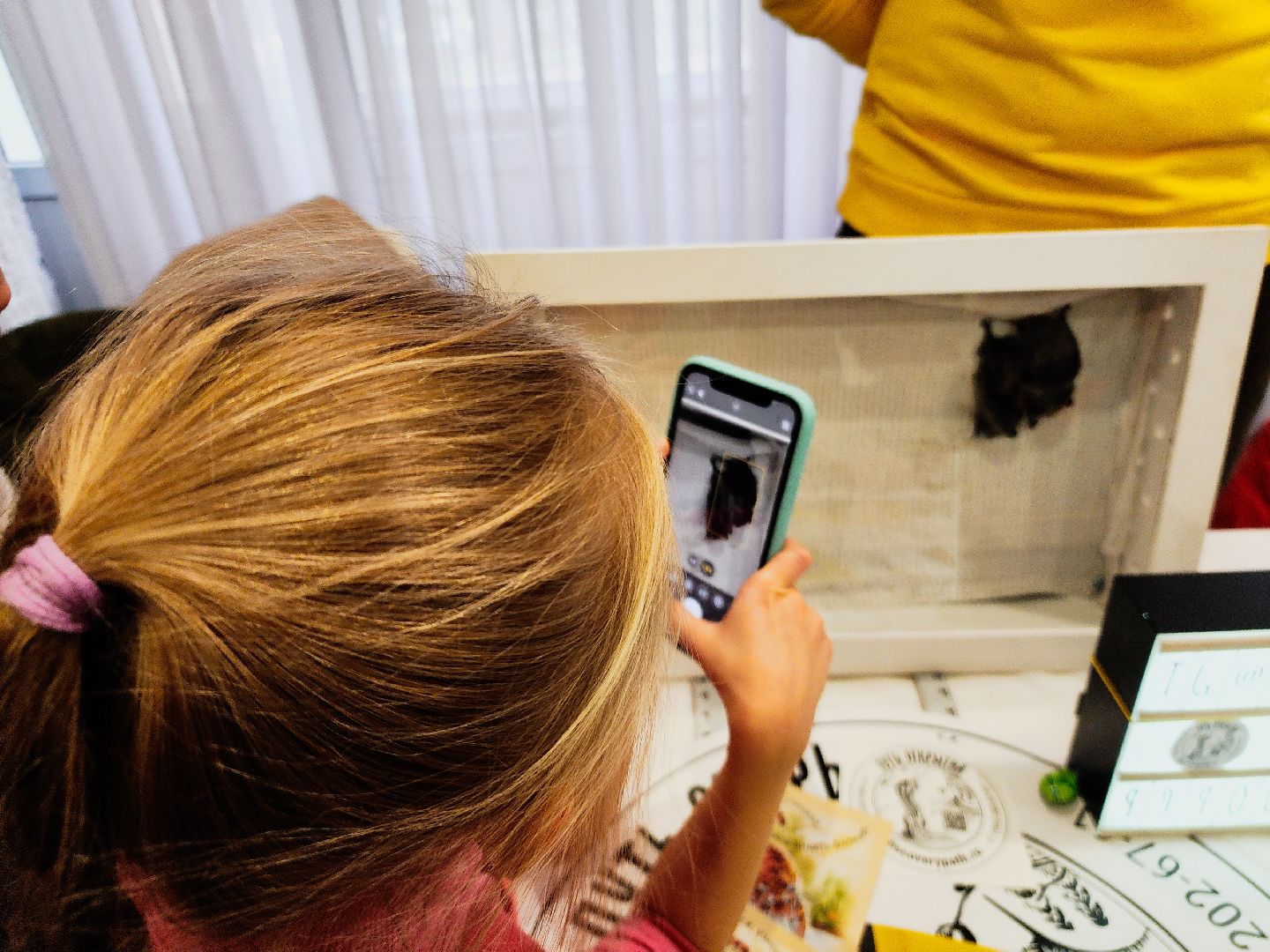 пущино, серпухов, волонтеры, природа, наука,