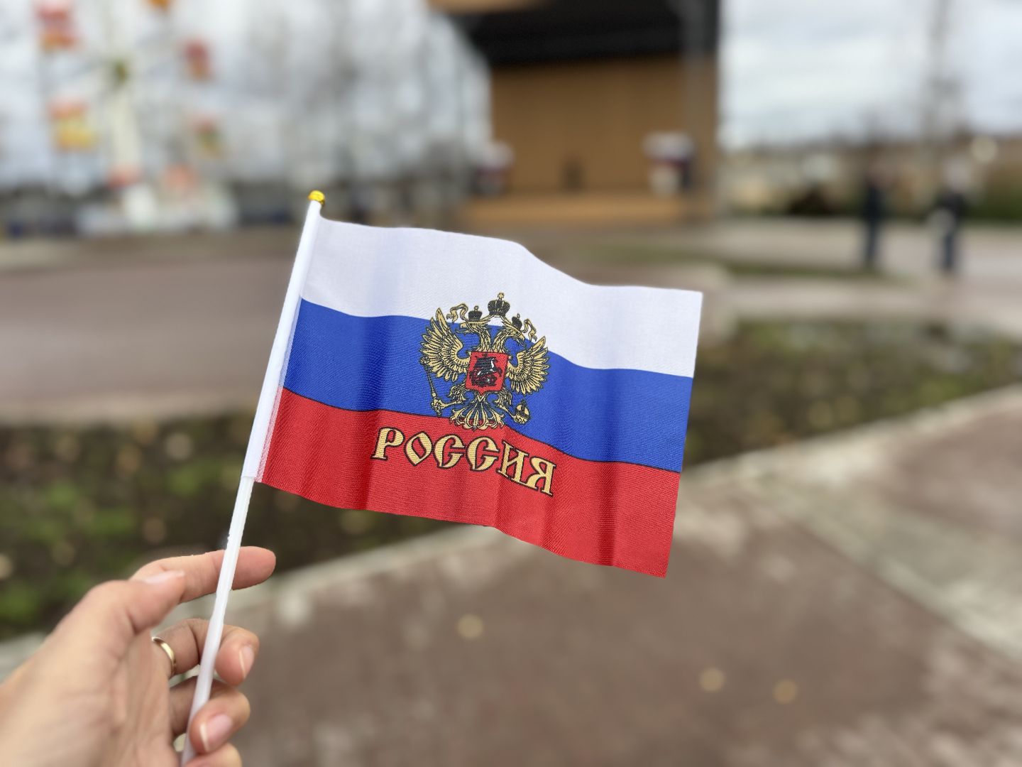 шаховская, волонтеры, день народно единства,