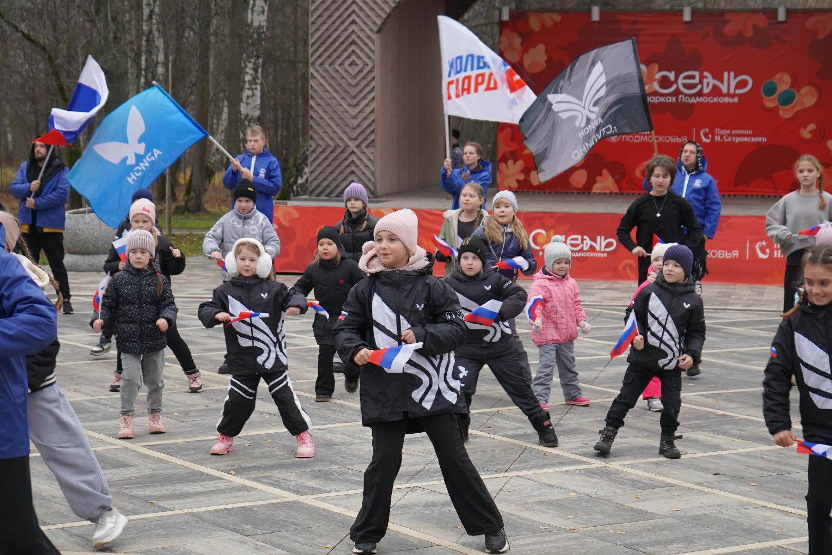 ступино, парк, День народного единства,