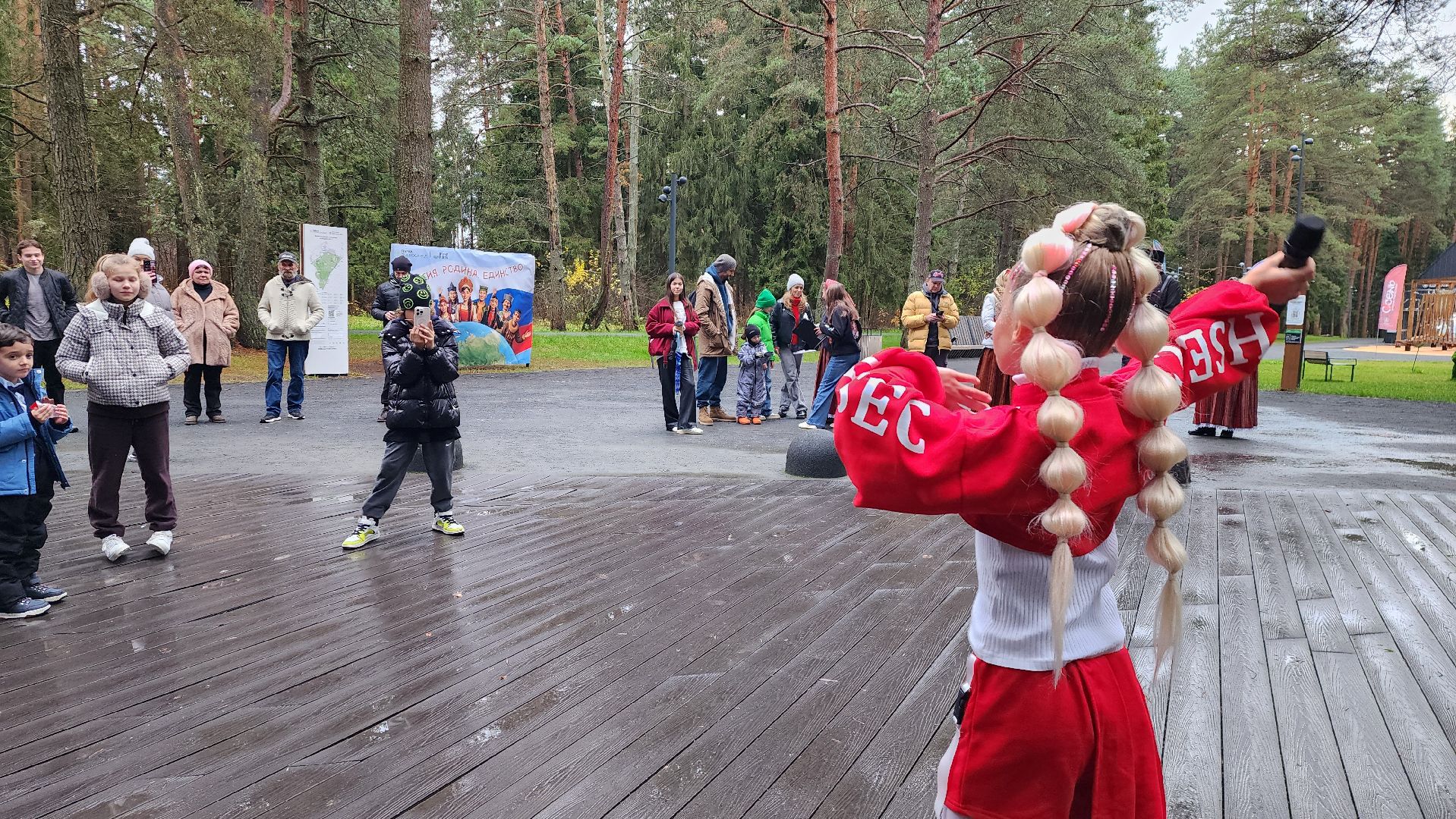 истра, день народного  единства, культура,