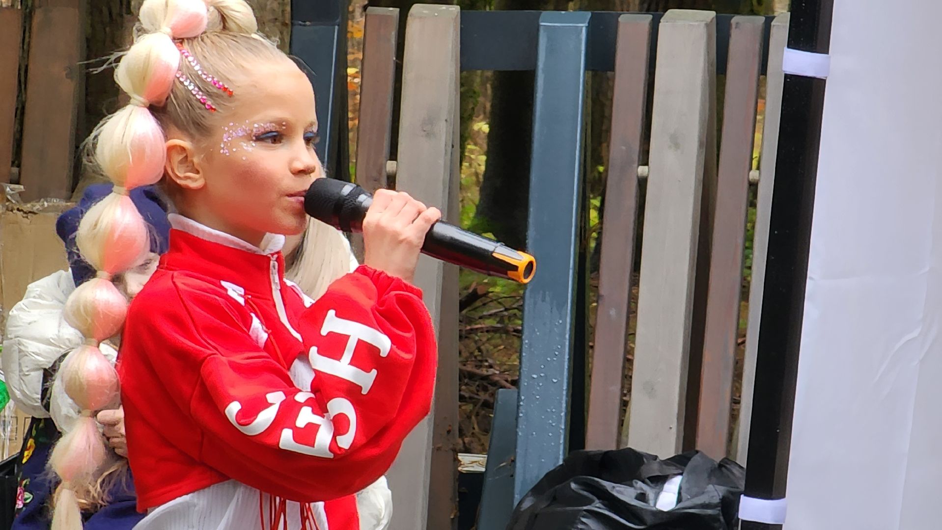 истра, день народного  единства, культура,