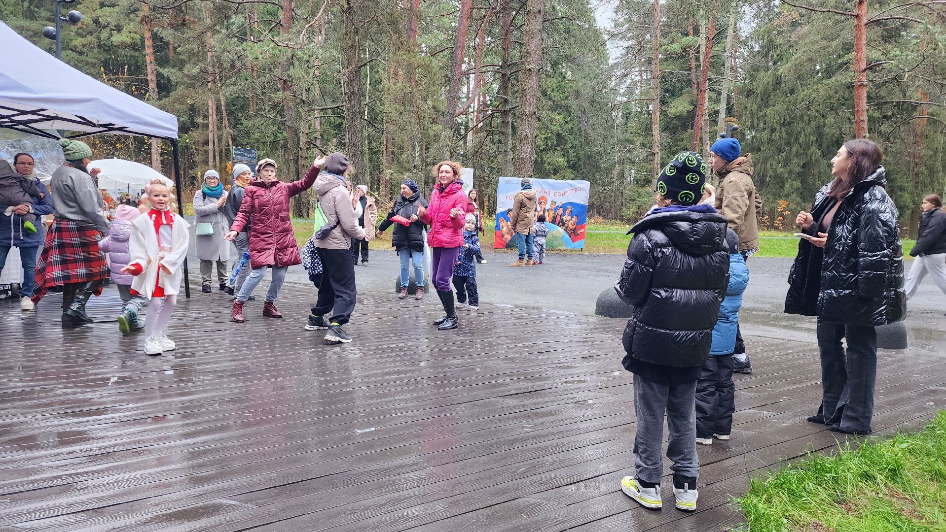 истра, день народного  единства, культура,