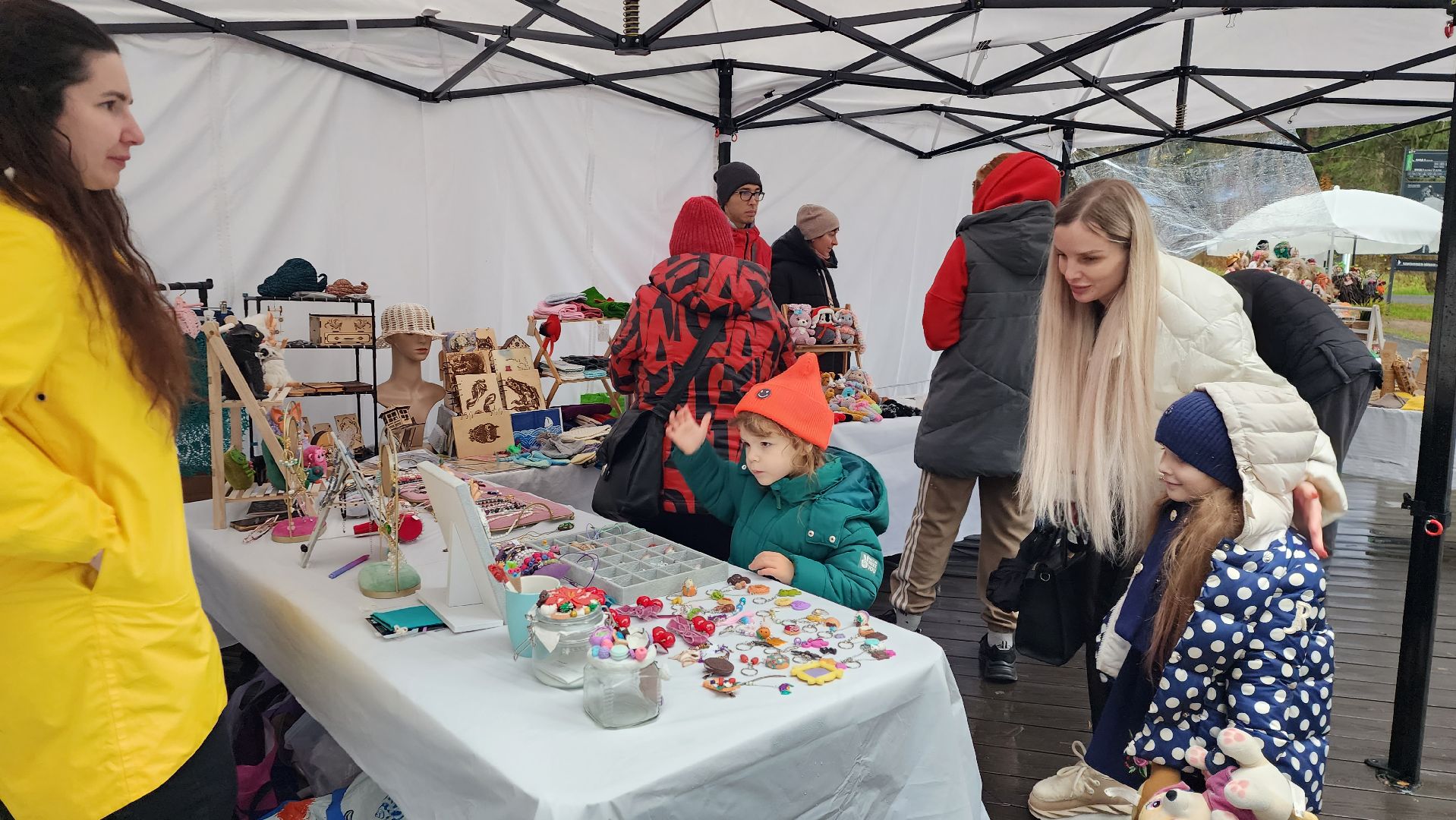 истра, день народного  единства, культура,