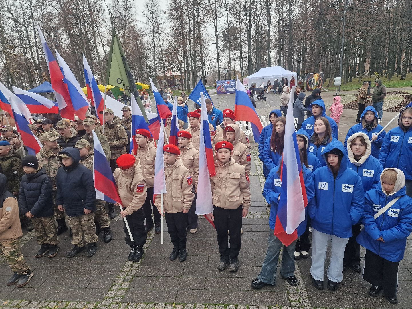 воскресенск, день народного  единства, кривякино,