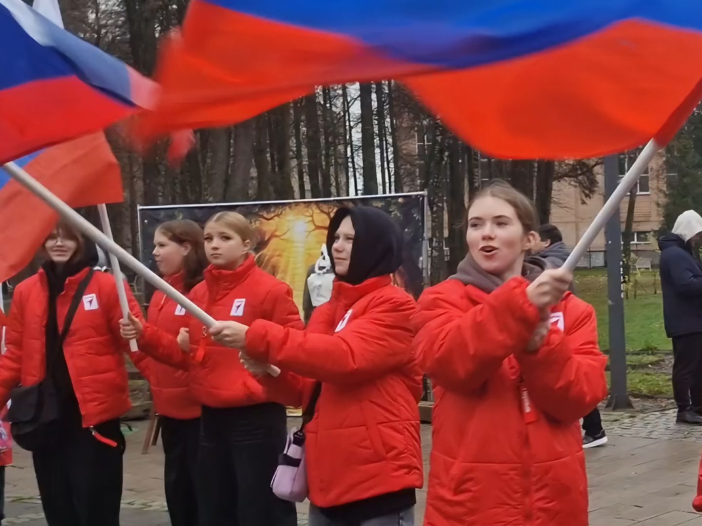 воскресенск, день народного  единства, кривякино,