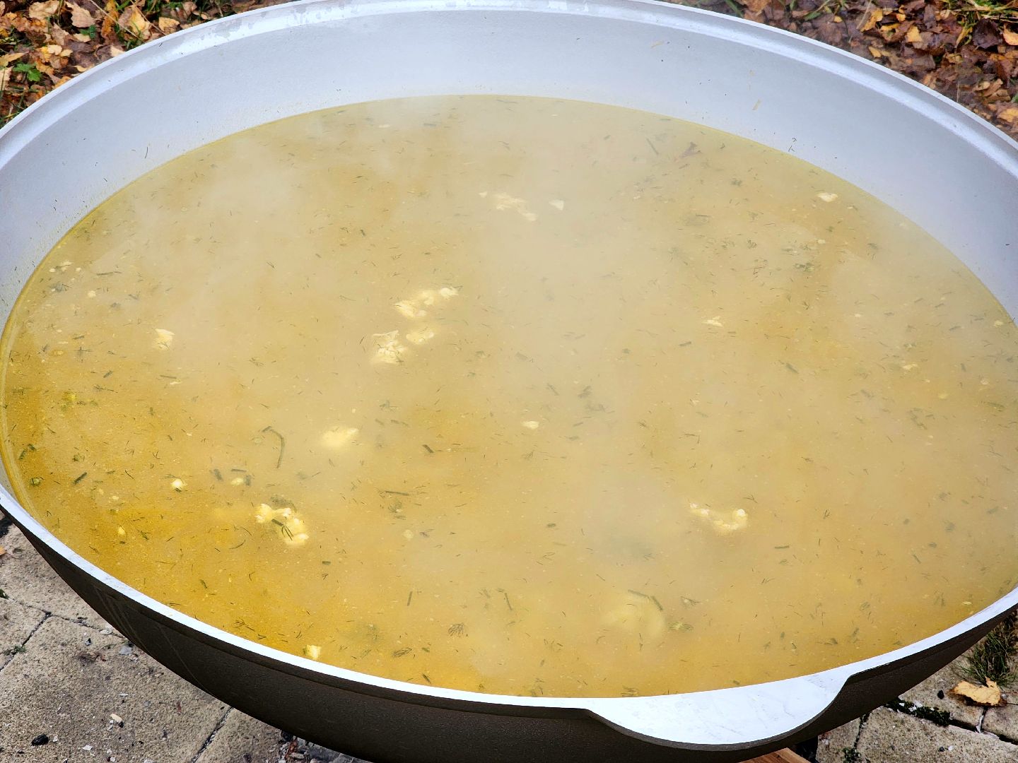 солнечногорск, праздник , жители , единство,