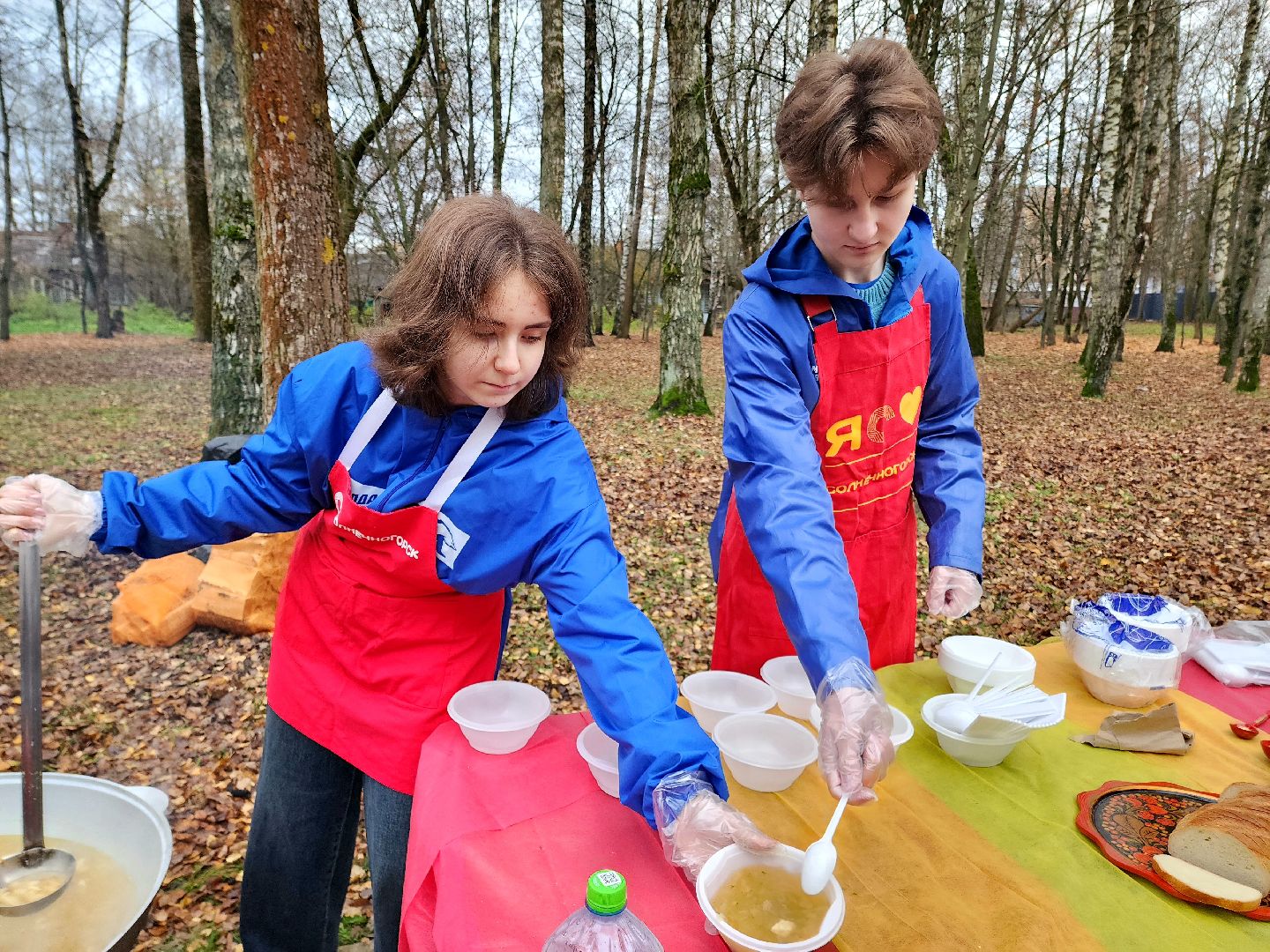 солнечногорск, праздник , жители , единство,